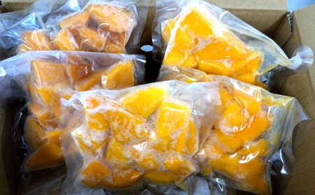 【2024年発送】沖縄県　宜野座村産　冷凍マンゴー約1kg