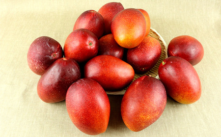 【2024年発送】新里農園のアップルマンゴー家庭用（約2kg）