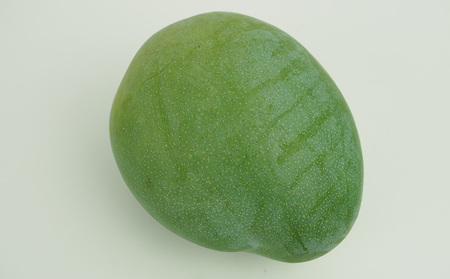 【2026年発送】農園直送！宜野座村　久志マンゴー農園のキーツマンゴー1玉（800g以上） フルーツ 甘い 美味しい 特徴 香り お取り寄せ Mango ランキング 大きい 希少 贈り物 ビタミン おすすめ 贅沢 栄養価 国産 沖縄県 人気 産地直送 送料無料