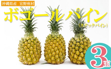 【期間限定】沖縄県産 宜野座村のボゴールパイン(スナックパイン)3玉
