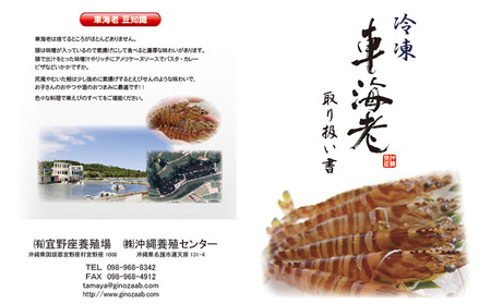 【養殖場から直送】活き〆急速冷凍車えび　3Lサイズ　約500g（12～13尾/500g×1P） 車海老 海鮮 魚介類 海産物 シーフード お取り寄せ 美味 料理 クルマエビ くるまえび 塩焼き フライ 天丼 お刺身 フリット 蝦 ゆで 送料無料 沖縄県産 送料無料