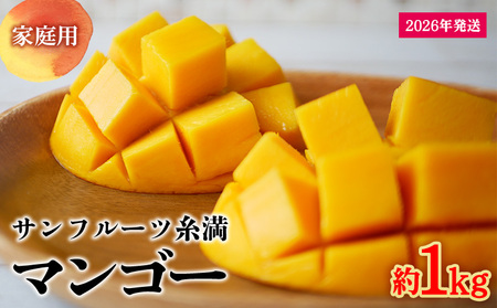 【2026年発送】サンフルーツ糸満のマンゴー家庭用 約1kg 産地直送 先行予約 フルーツ 果物 くだもの アップルマンゴー アップル アーウィン種 濃厚 デザート 贅沢 旬の果物 甘い おすすめ プレゼント 贈答 冷蔵 国産 沖縄 沖縄県産