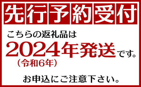【2024年発送】沖縄県　宜野座村産　家庭用Nパイン（約4.8kg）