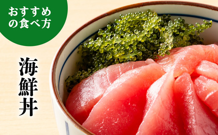 海ぶどう【2026年発送】宜野座村の海ぶどう(100g×5パック)