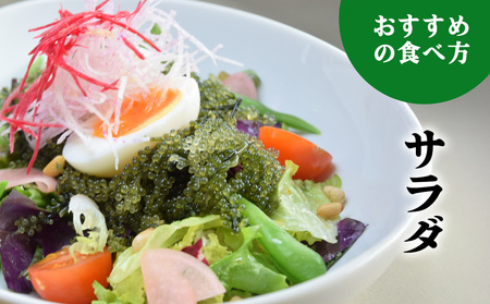 海ぶどう【2026年発送】宜野座村の海ぶどう(100g×5パック)