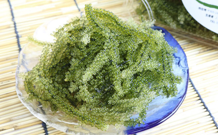 海ぶどう【2026年発送】宜野座村の海ぶどう(100g×5パック)