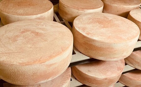 北海道産 牧場 自家製 ハードタイプ チーズ みのり 100g×３