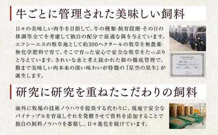 ＜期間限定・ソーセージ1袋付（お試し品）＞【2026年1月より発送開始】北海道標茶町 星空の黒牛 くちどけフレーク 180g×2袋入 山わさび 80g| フレーク