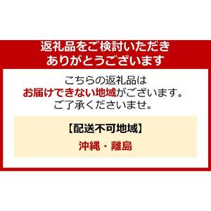 不二木材　木製ログ滑り台ログライダー【配送不可：沖縄・離島】| 滑り台