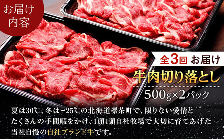 【3か月 定期便】北海道産 星空の黒牛 切り落とし 約1kg（500g×2） 牛肉　|  切り落とし
