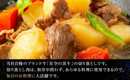 【3か月 定期便】北海道産 星空の黒牛 切り落とし 約1kg（500g×2） 牛肉　|  切り落とし