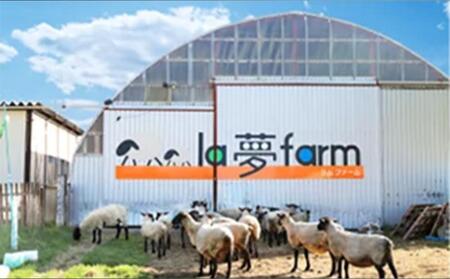 【先行予約/2026年2月以降発送】北海道産 標茶 羊肉のデミボロネーゼソース　4食セット【 パスタ ボロネーゼソース 肉 にく 羊肉 サフォーク 希少部位 グルメ お取り寄せ 国産 ヘルシー 標茶町 北海道 】