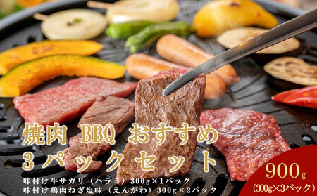 焼肉 BBQ おすすめ 3パックセット （味付牛サガリ・鶏サガリ）|  BBQ