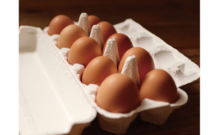 【ポロニ養鶏場】有精卵 計60個(10個×6パック)| 卵