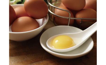 【ポロニ養鶏場】有精卵 計60個(10個×6パック)| 卵