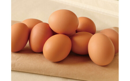 【ポロニ養鶏場】有精卵 計60個(10個×6パック)| 卵