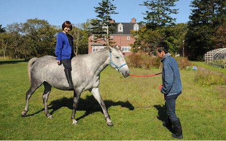 「ヘイゼルグラウスマナー」リバーサイドコース60分乗馬体験チケット（1名様分）| 乗馬