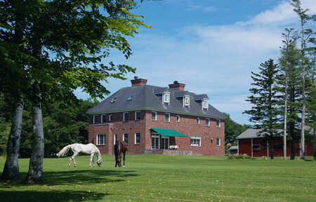 「ヘイゼルグラウスマナー」リバーサイドコース60分乗馬体験チケット（1名様分）| 乗馬