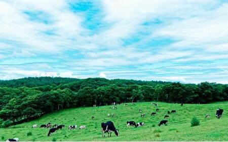 【ミルキークラウン】おうちじかんバター作りキット×2セット|  アイス