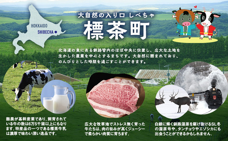 北海道産黒毛和牛使用　ビーフシチュー3個