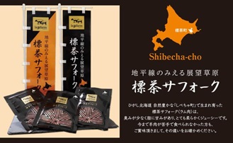 北海道産 標茶サフォーク（羊肉）生ラム　ファミリーセット900g（リブロース・カルビ・モモ各300g）