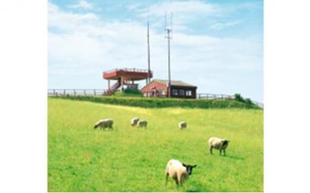 北海道産 しべちゃサフォーク（羊肉）生ラム プレミアムセット400g （ヒレ・リブカタロース・カルビ・モモ各100g）【ラム ラム ラム ラム ラム ラム】