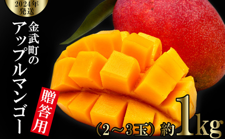 金武町のアップルマンゴー 贈答用 約1kg（2～3玉）