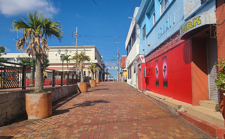 車椅子で金武町の自然と歴史とフードを満喫する我らが家は五大州5時間コース 安全第一 プロの運転技術 車椅子対応 事故防止 安全管理 丁寧な運転 安心サポート 快適 リラックス 思いやり 丁寧な接客 利用者目線 柔軟な対応 柔軟 スムーズ 地域密着 地元で 信頼のおける 家族も安心 高評価