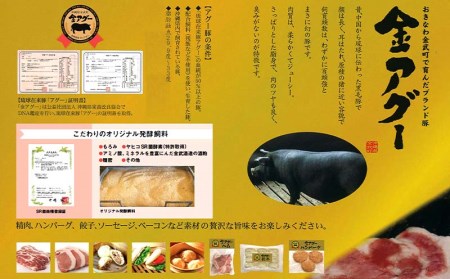 金アグー　こだわりのハンバーグ・肉餃子・ソーセージ3種セット