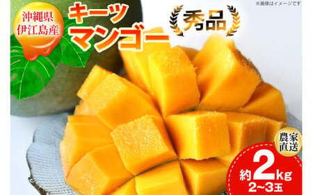 【期間限定発送】 キーツ マンゴー 秀品 約 2kg (2～3玉) [伊江村マンゴー部会 沖縄県 伊江村 ie47bde320009]