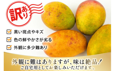 【期間限定発送】 訳あり マンゴー (アーウィン種) 約 2kg (4〜6玉) [伊江村マンゴー部会 沖縄県 伊江村 ie47bde320010]