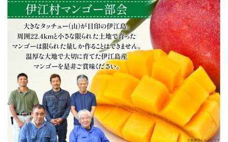 【期間限定発送】 訳あり マンゴー (アーウィン種) 約 2kg (4〜6玉) [伊江村マンゴー部会 沖縄県 伊江村 ie47bde320010]