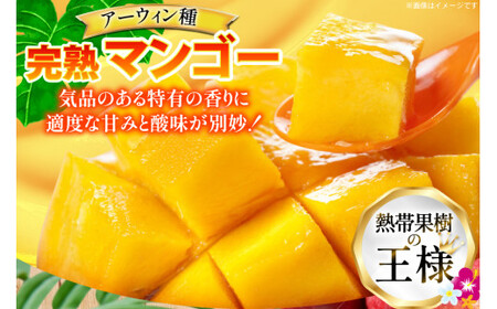 【期間限定発送】 完熟 マンゴー (アーウィン種) 約 1kg (2～3玉) [伊江村マンゴー部会 沖縄県 伊江村 ie47bde320012]
