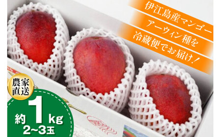 【期間限定発送】 完熟 マンゴー (アーウィン種) 約 1kg (2～3玉) [伊江村マンゴー部会 沖縄県 伊江村 ie47bde320012]