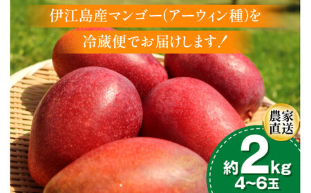 【期間限定発送】 完熟 マンゴー (アーウィン種) 約 2kg (4～6玉) [伊江村マンゴー部会 沖縄県 伊江村 ie47bde320013]