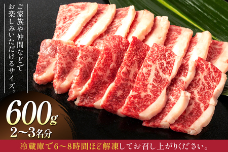 牛肉 緋桜肉 焼肉 セット 200g 3パック 計600g [イノベスタ 沖縄県 伊江村 ie47bde380001]
