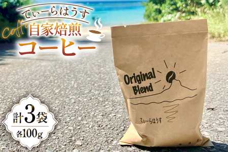 コーヒー 自家焙煎コーヒー 100g 3セット [てぃーらはうす 沖縄県 伊江村 ie47bde390000]