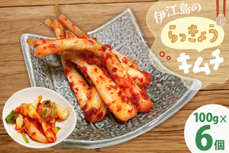 らっきょう 伊江島のらっきょうキムチ 100g 6個 [NOGUS 沖縄県 伊江村 ie47bde420000]
