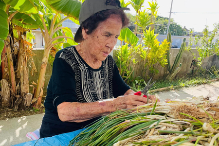 らっきょう 島らっきょうの甘酢漬け 100g 10個 [NOGUS 沖縄県 伊江村 ie47bde420001]