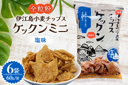 スナック 伊江島 小麦チップス ケックン ミニ 塩 6袋 セット [伊江島物産センター 沖縄県 伊江村 ie47bde210024]