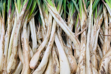 【期間限定発送】 島らっきょう 沖縄 キムチ 100g 甘酢漬け 100g 2個 食べ比べ セット [NOGU's 沖縄県 伊江村 ie47bde420012]