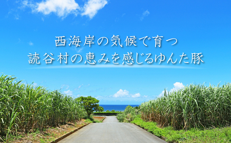 読谷育ち＜ゆんた豚＞しゃぶしゃぶセット 〇 ブランド 沖縄 読谷村 訳あり 希少 頭数限定 数量限定 地場産品 少量