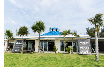 【RYUKYU GLASS WORKS 海風】残波の夕日ディーププレート青・緑（２枚セット） ☆ 読谷村 琉球ガラス 食器 セット商品 色違い有 ガラス工房 GALA青い海 沖縄 伝統工芸品 アップグレード プレゼントに 手作り 人気商品 キレイ 夕焼け ギフトに 2枚組 オススメ 涼し気