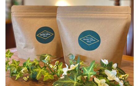 自家焙煎【Bloom Coffee Okinawa】ブレンド飲み比べ(200gx2種類)