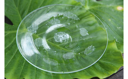 【琉球ガラス工房雫】水玉お皿（中・2枚セット）