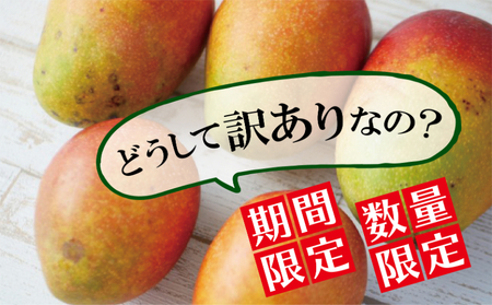 【訳あり・ご家庭用】アップルマンゴー（約1.5Kg）【先行予約・2024年発送】
