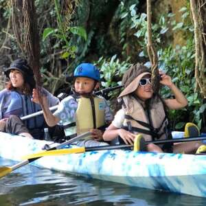 【3名様体験コース】比謝川のマングローブに生息する動植物をカヤックで探検!【1399162】