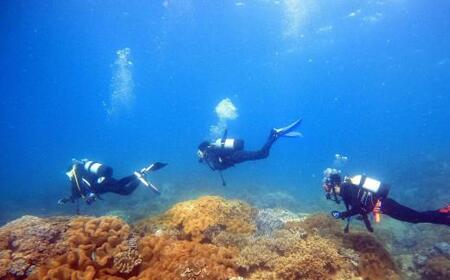 【ふるさと納税】【ふるさと納税】沖縄県北谷町 2ビーチファンダイビング | 沖縄 体験 人気