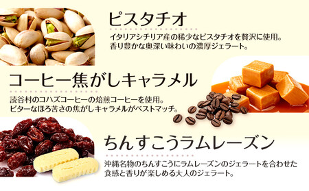 【ふるさと納税】ジェラート12個セット こころおどる  | アイス 沖縄  ジェラート アイス カップアイス アイスクリーム スイーツ