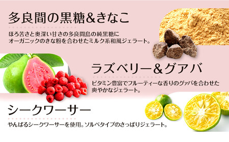 【ふるさと納税】ジェラート12個セット こころおどる  | アイス 沖縄  ジェラート アイス カップアイス アイスクリーム スイーツ